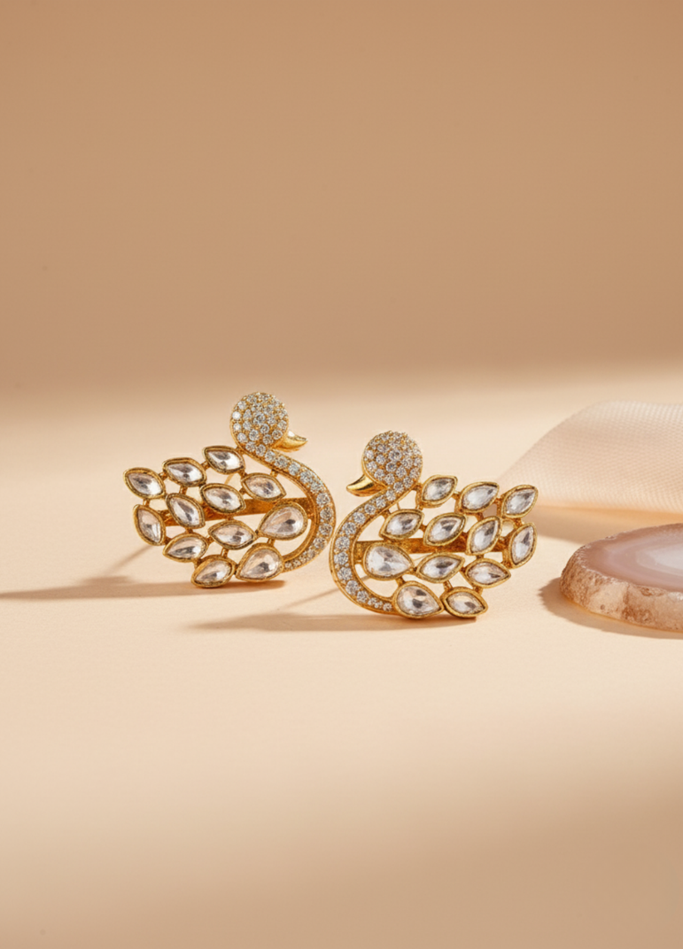 Elegant Silver Earrings